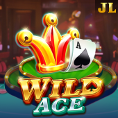 Wild Ace slotsgo slot game